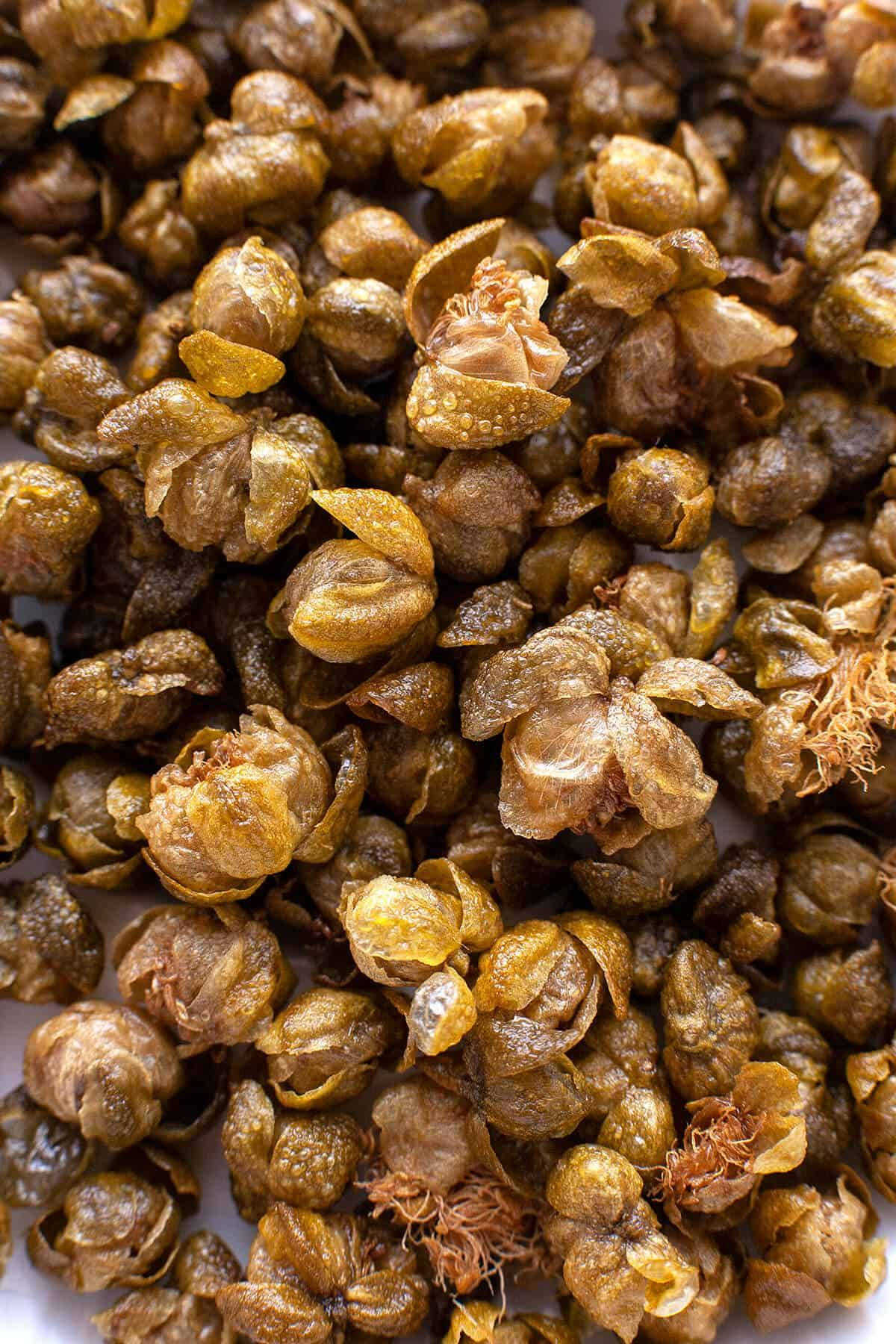 Dried Brown Caper Buds