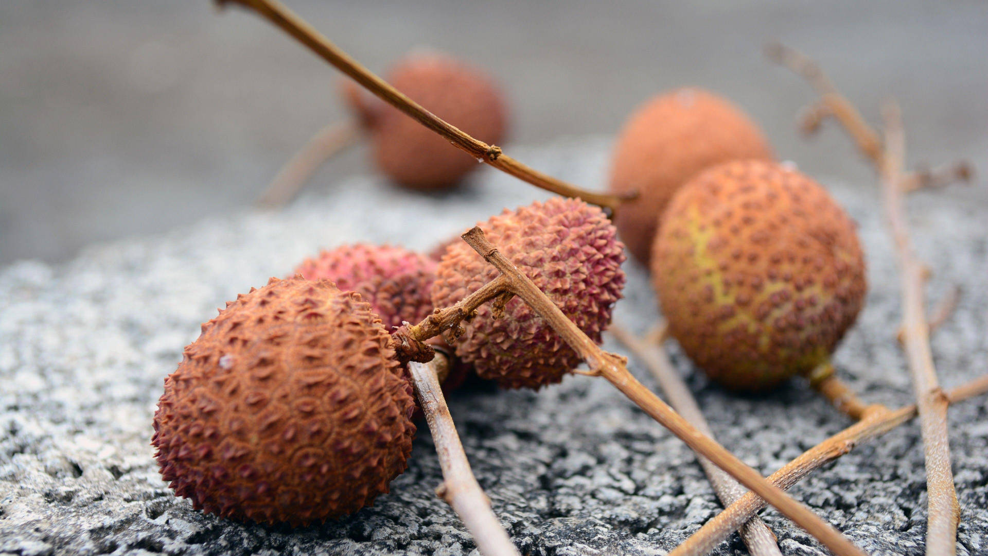 Dried Brown Litchis Background