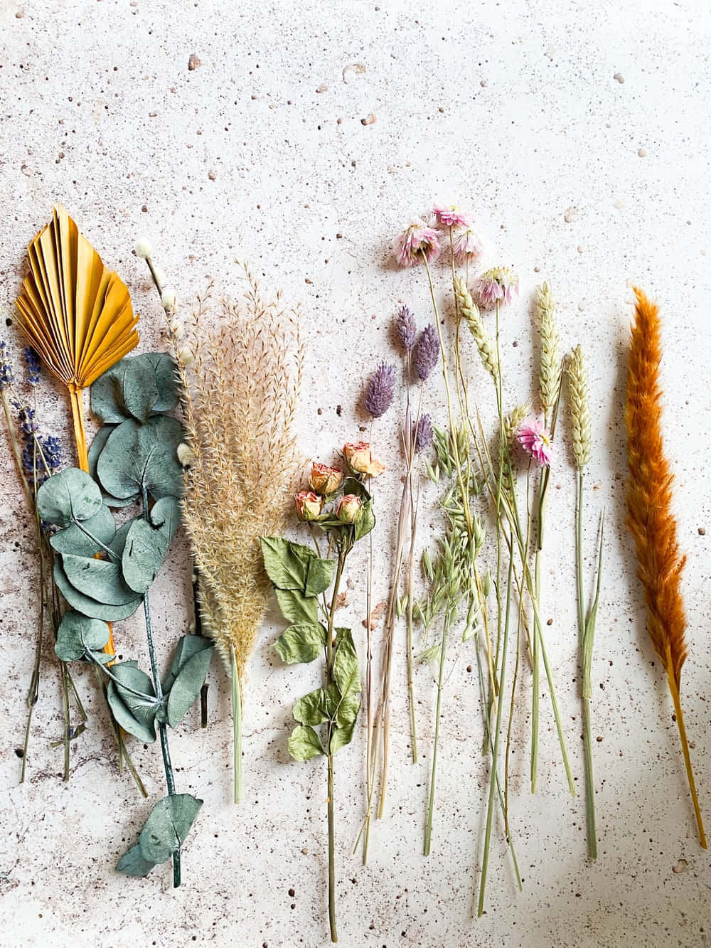 Dried Flowers 1000 X 1333 Wallpaper Background