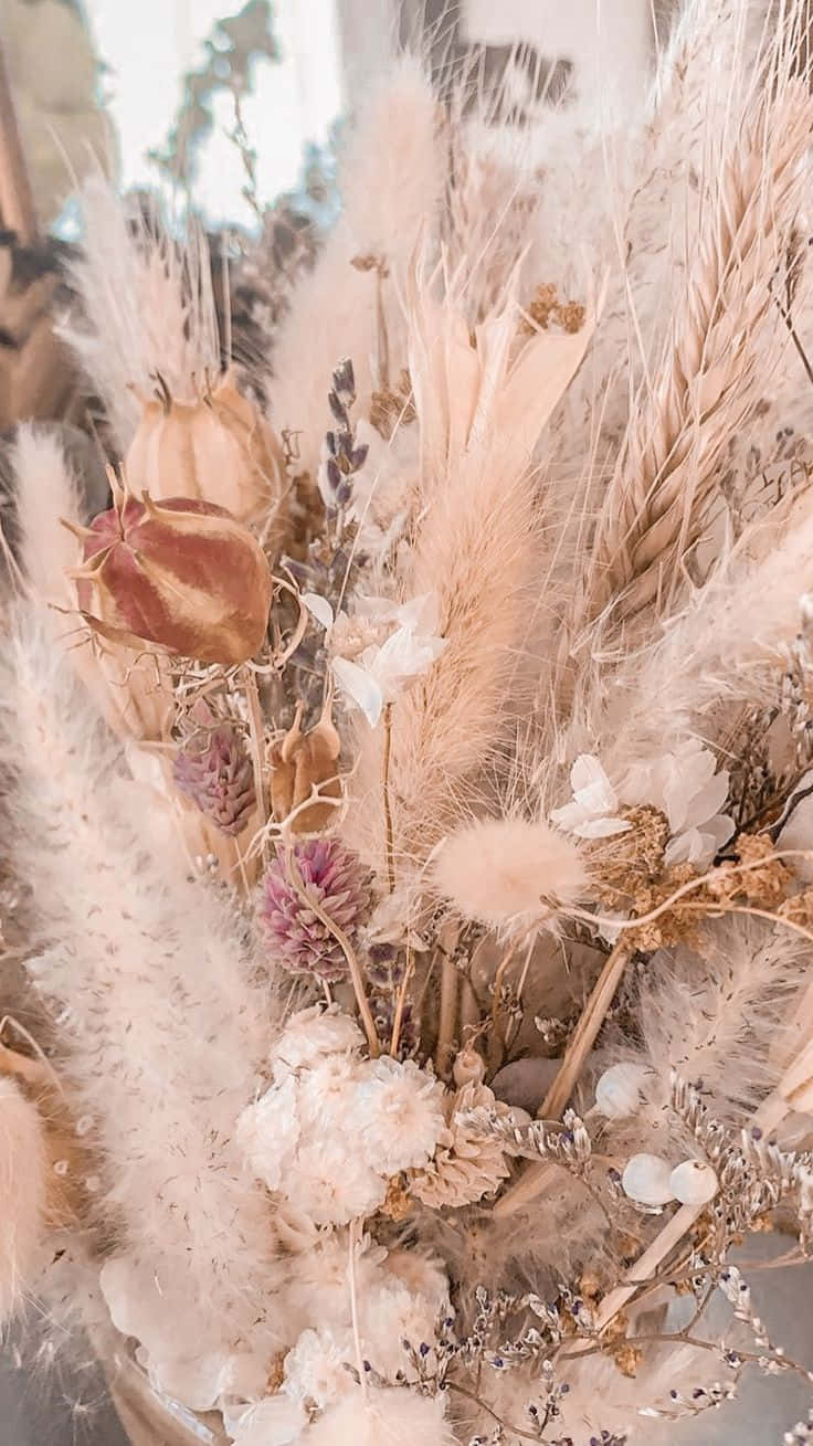 Dried Flowers With Neutral Colors Aesthetic