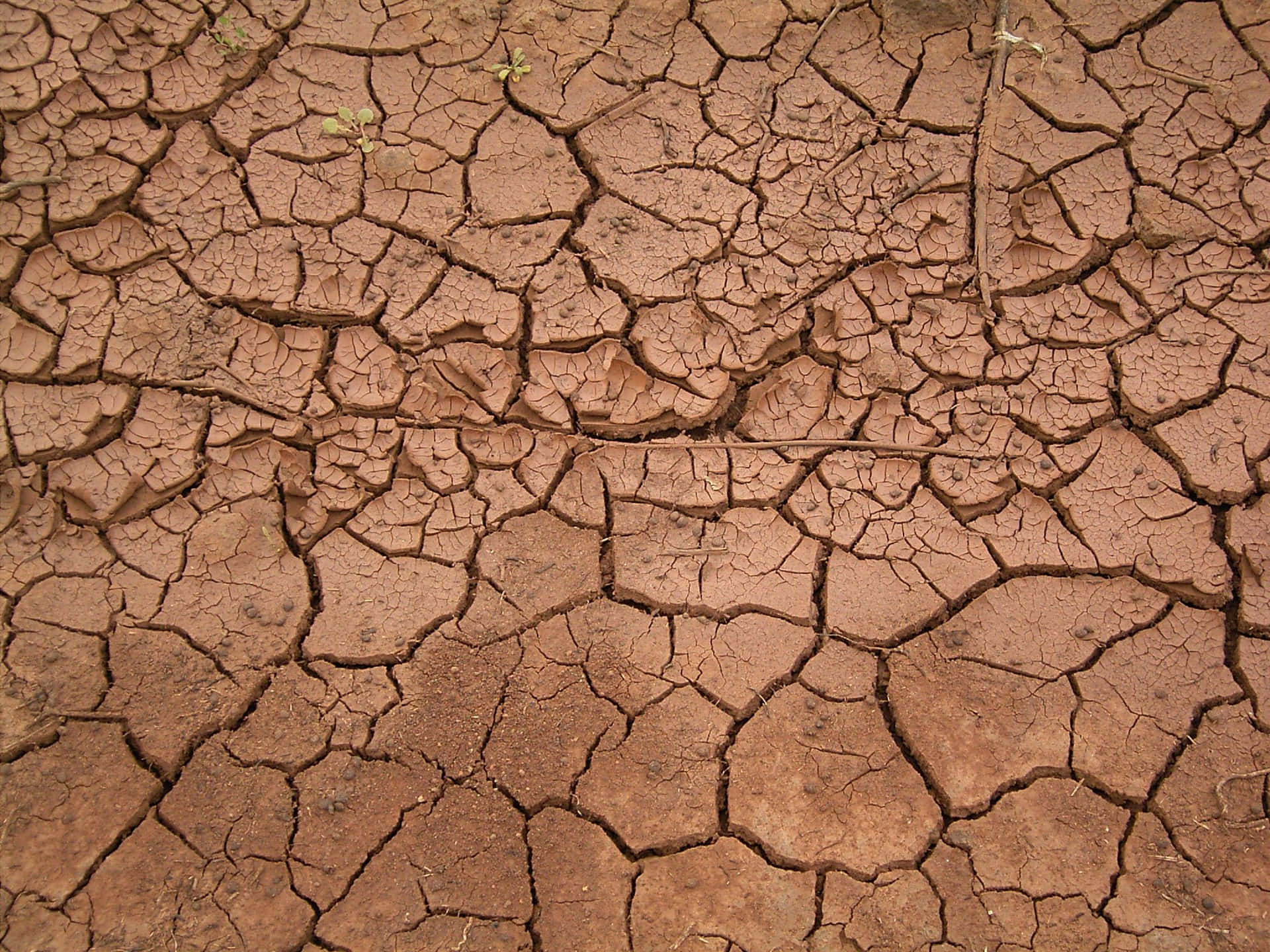 Dried Mud Cracks Volcanic Ashes