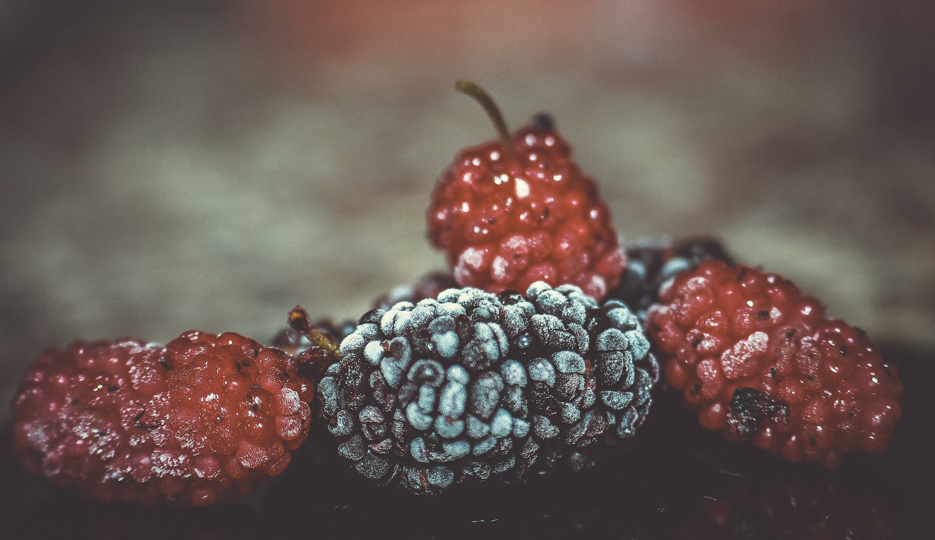 Dried Red And Purple Mulberry Fruits