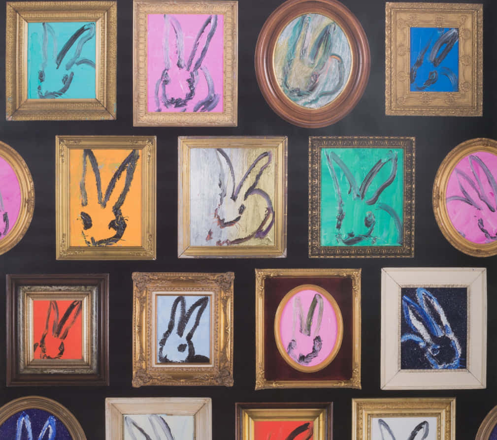 Droll Look Rabbit Background