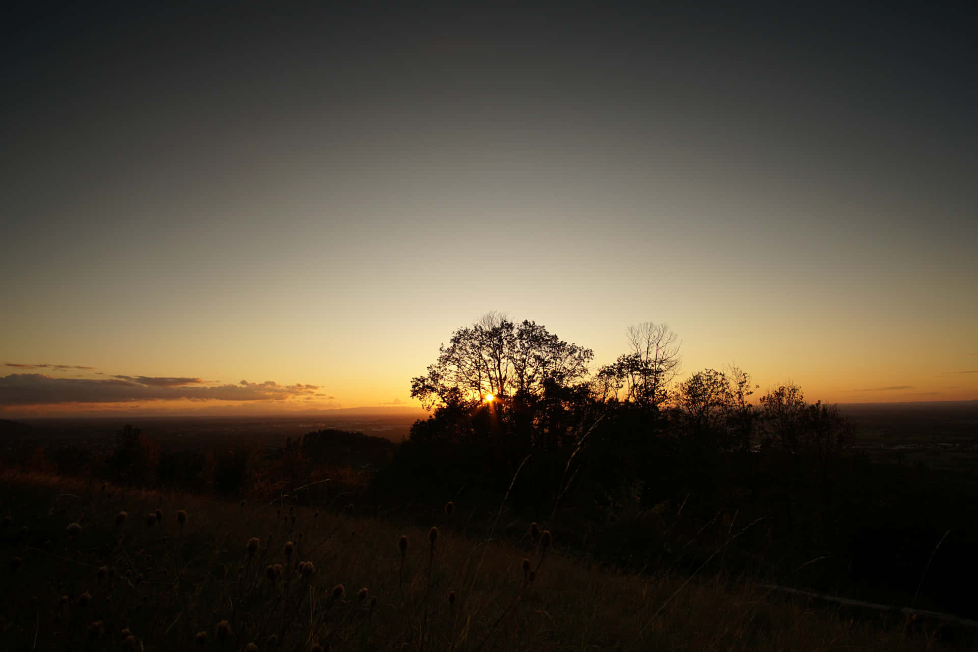 Droll View Background