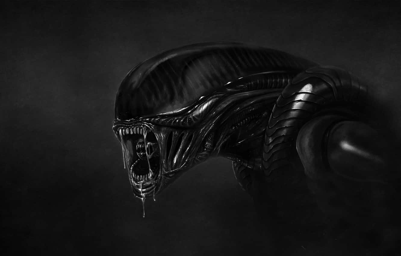 Droll Xenomorph Background