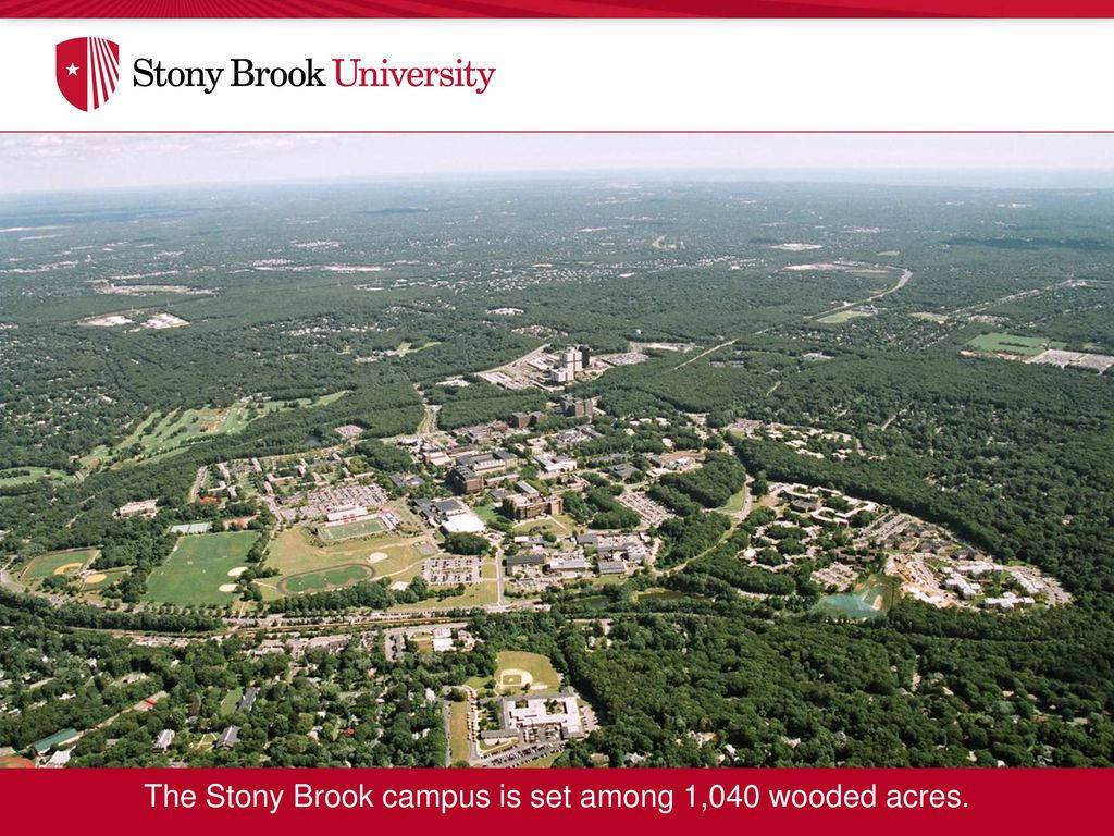 Drone Shot Stony Brook University Campus Background