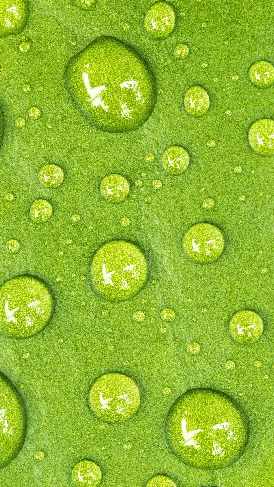 Droplets On Light Green Leaf Background