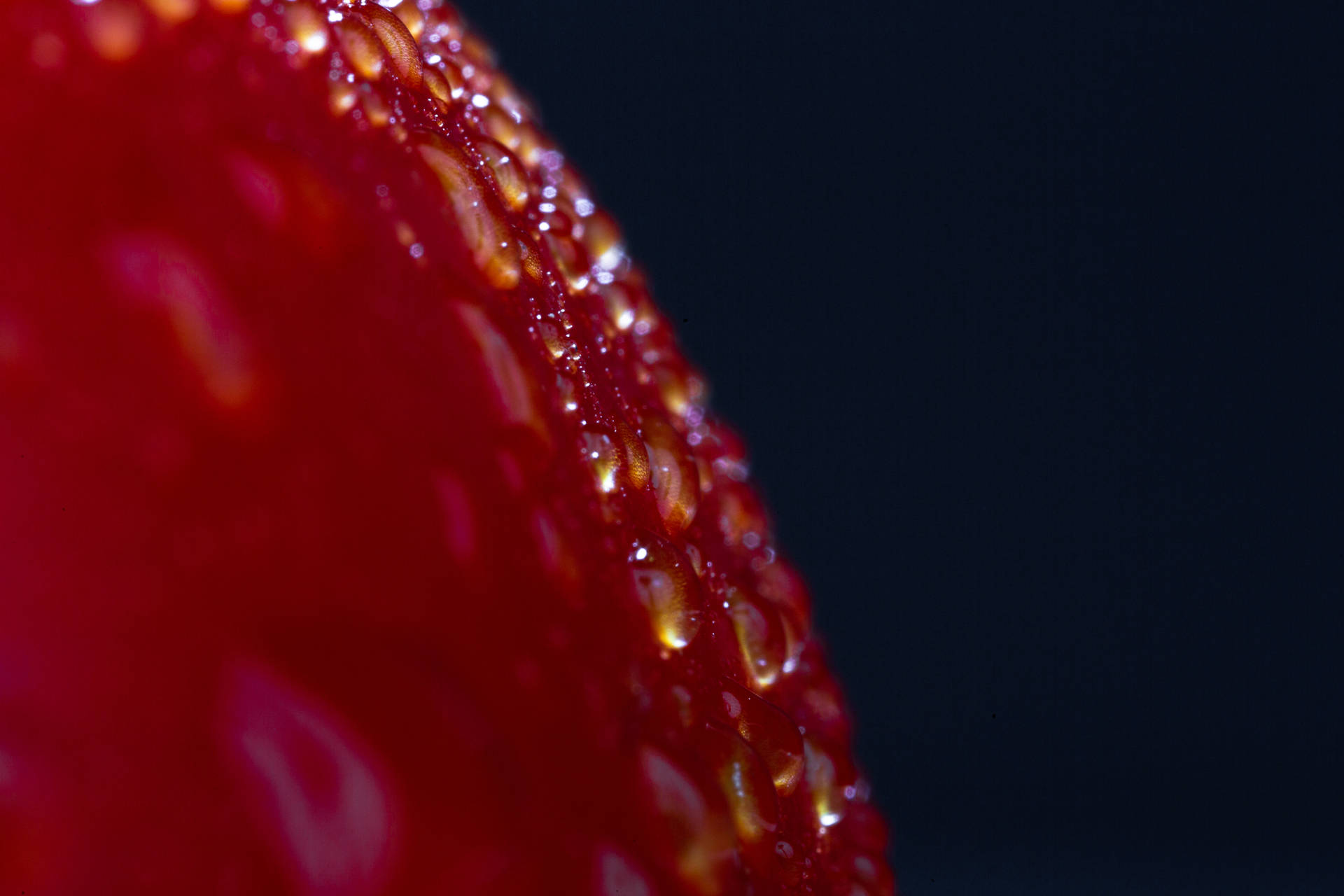 Droplets On Red Color Object