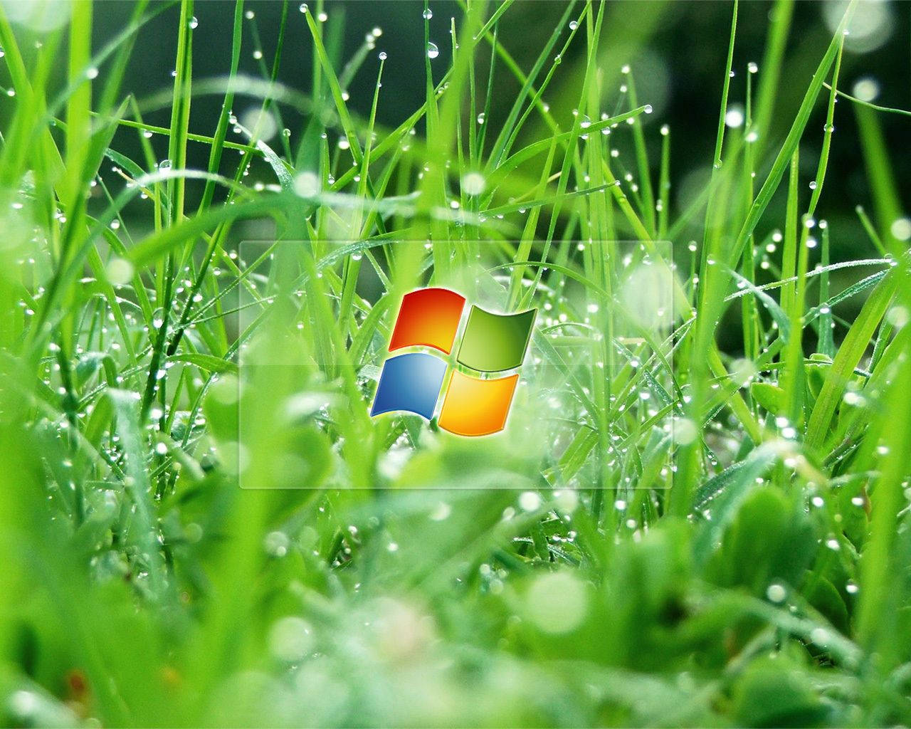 Droplets Windows Vista