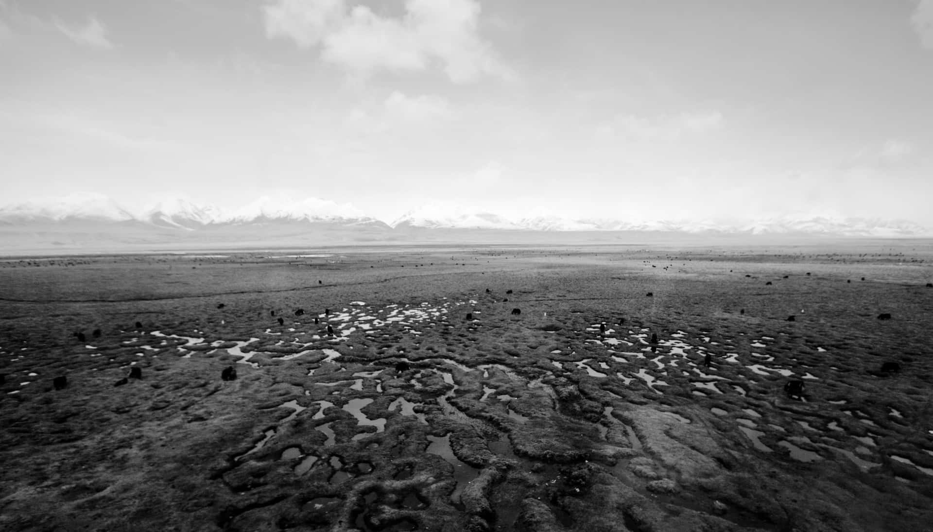 Drought Land Turns Desolate