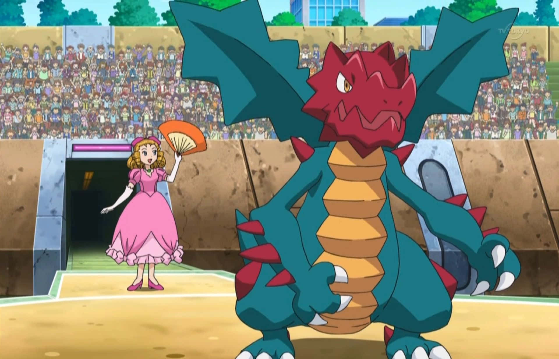 Druddigonand Trainer Performance Background