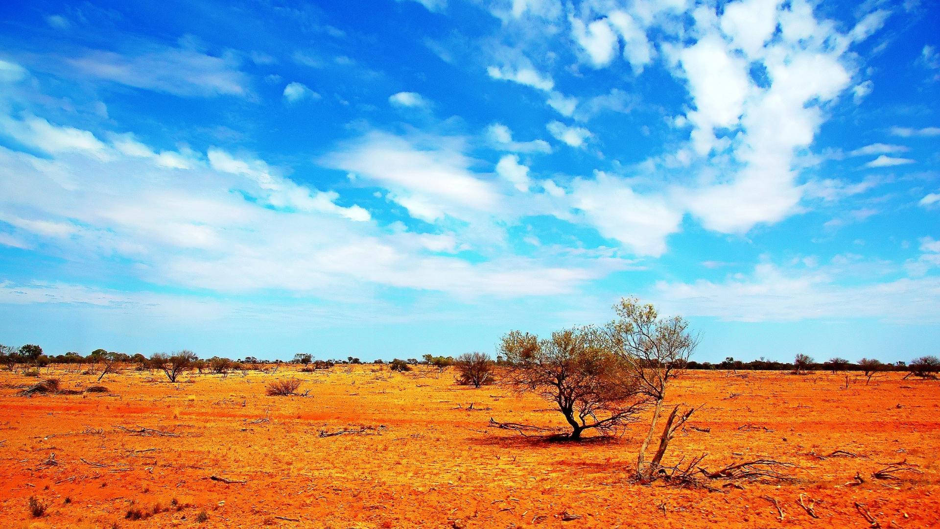 Dry Australian Outback Area Background