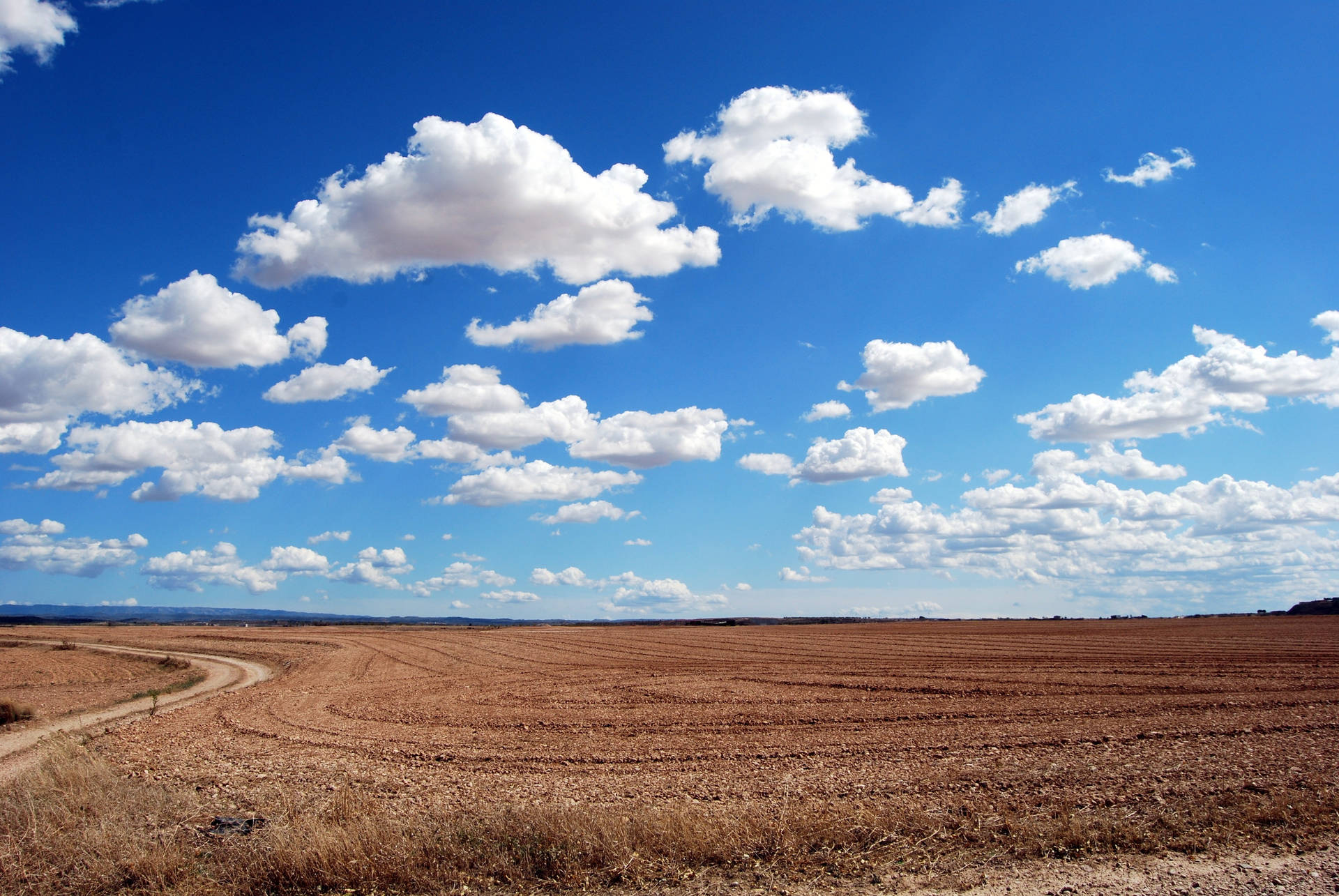 Dry Field Sky Background Background