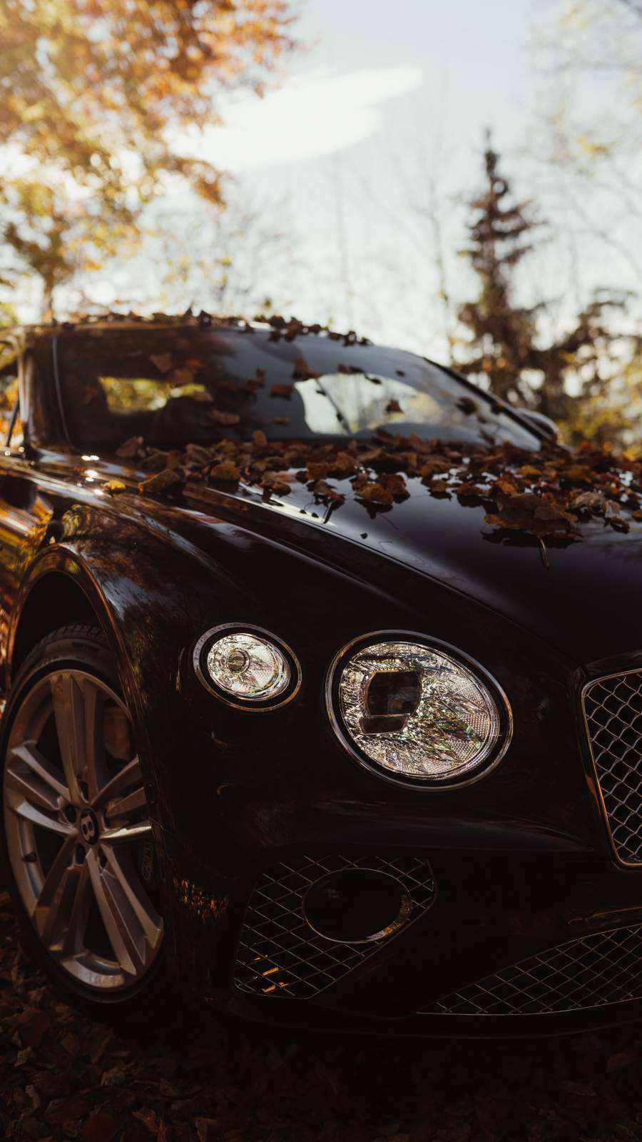 Dry Leaves Over Bentley Car Iphone