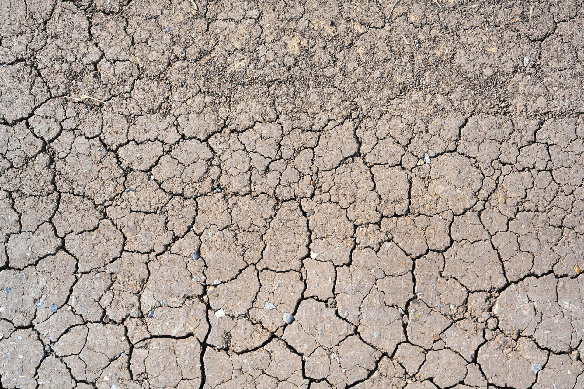 Dry Mud Cracked Ground Texture Drought Background