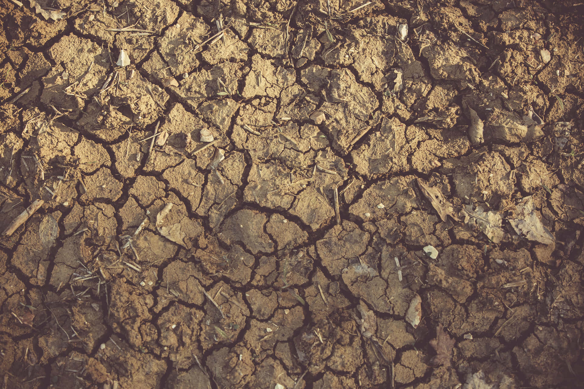 Dry Mud Cracked Soil Barren Land Background