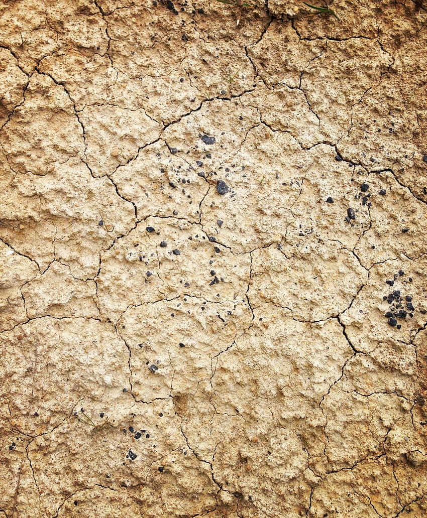 Dry Mud Texture Soil Wall Background