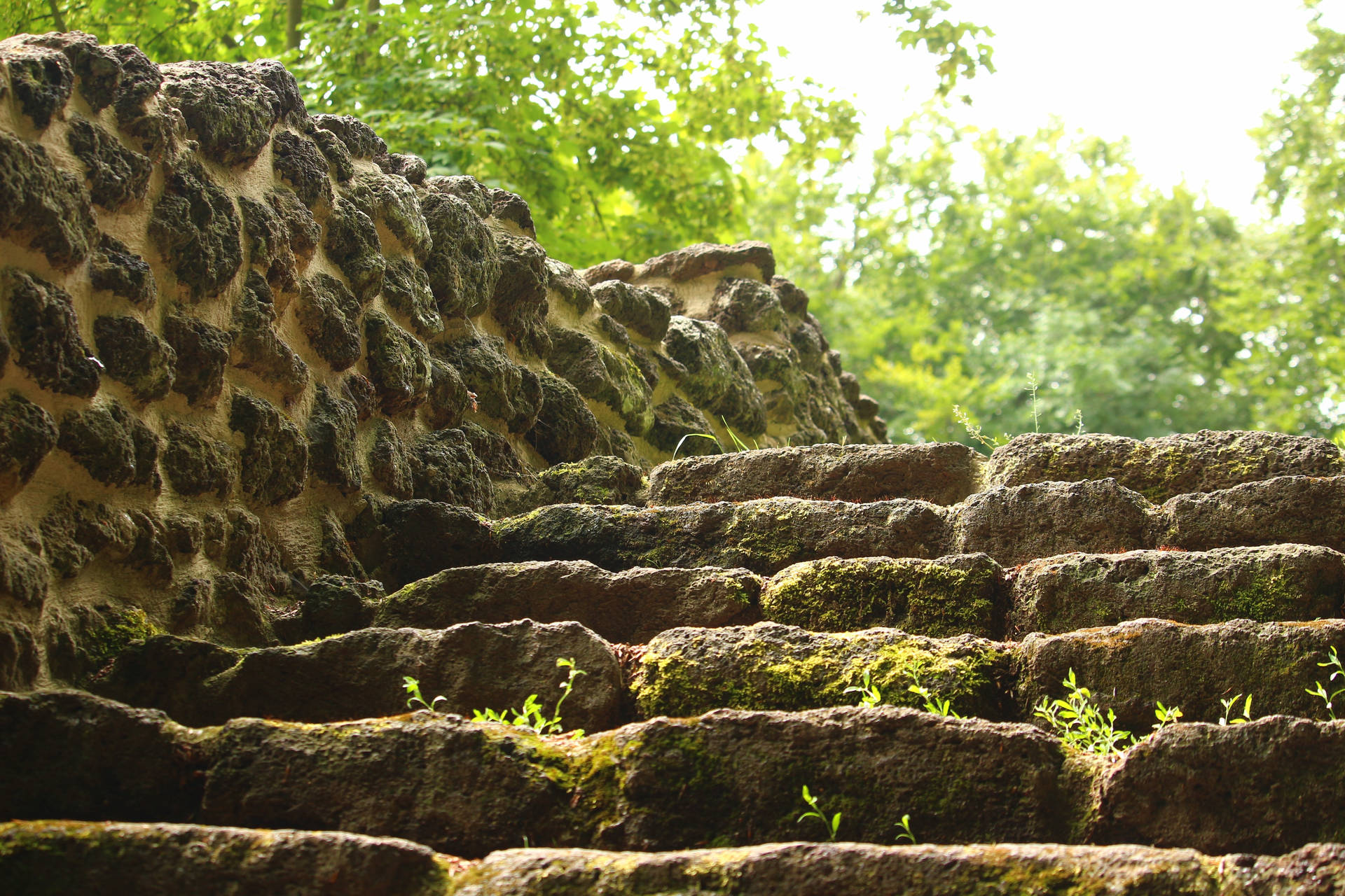 Dslr Blur Brown Stone Staircase Background