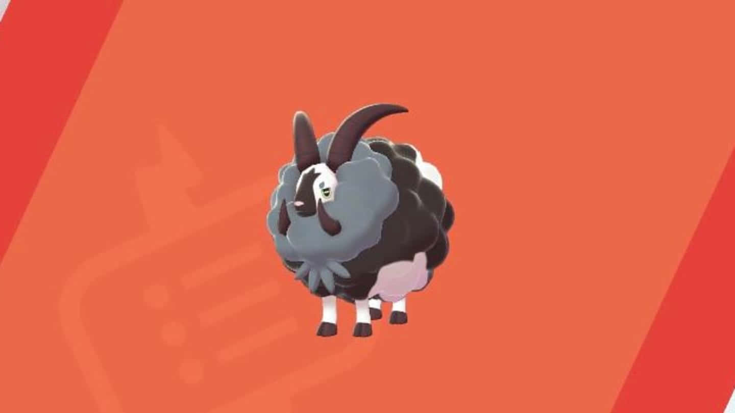 Dubwool 3d Orange Art