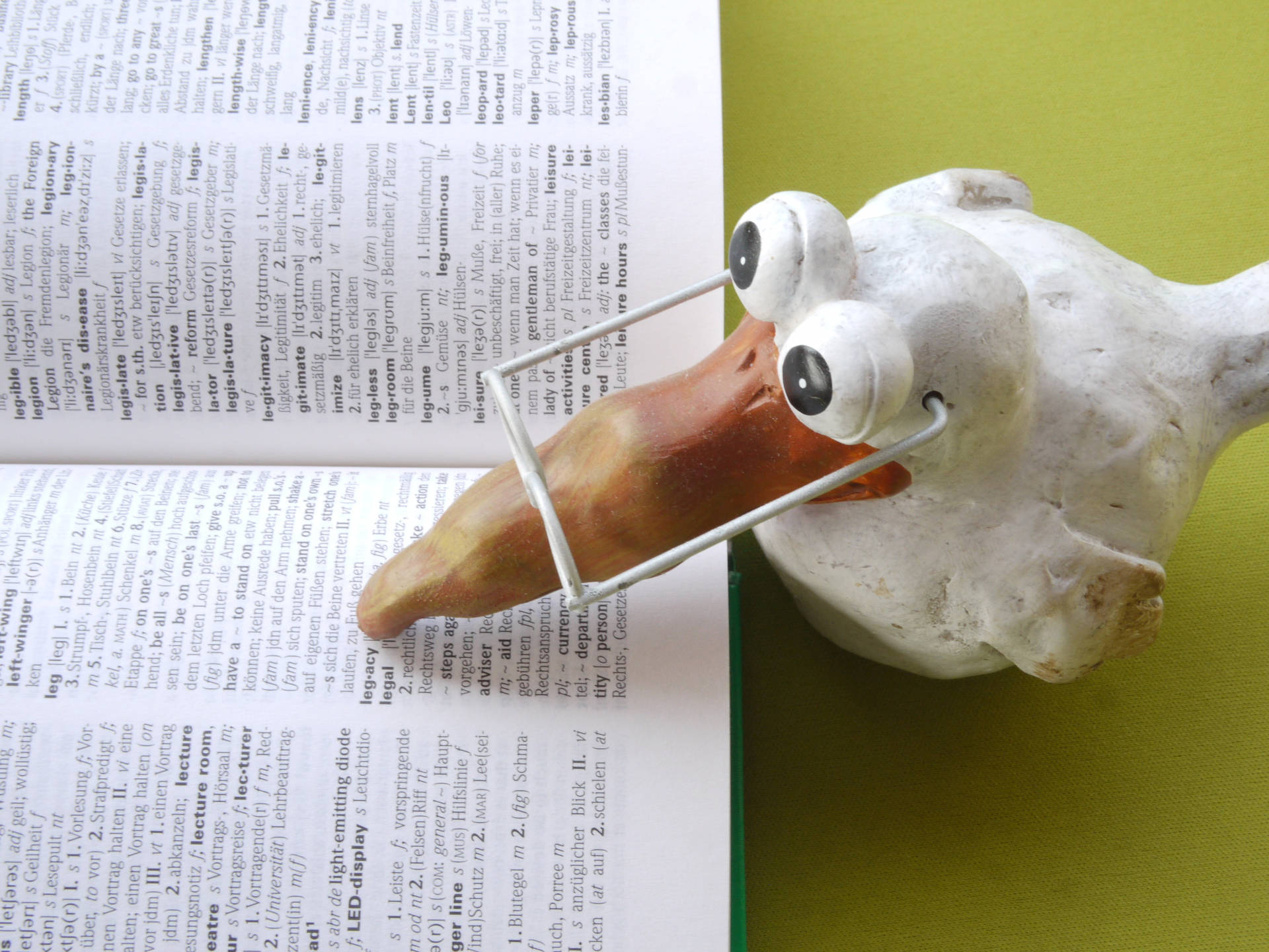 Duck Figurine With Reference Book