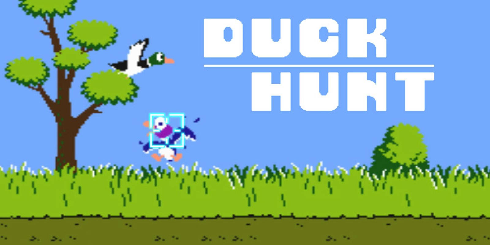 Duck Hunt Field Target Background