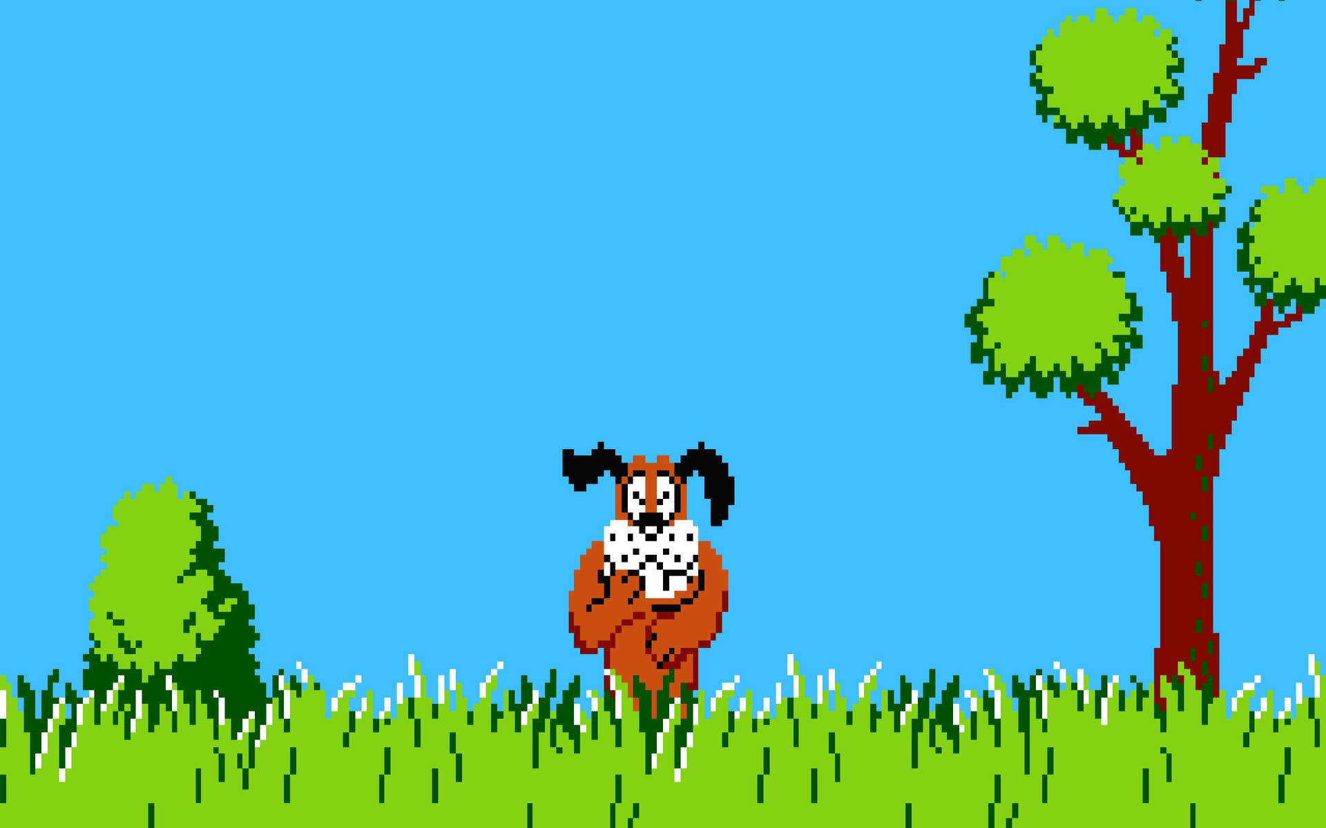 Duck Hunt Laughing Dog Background