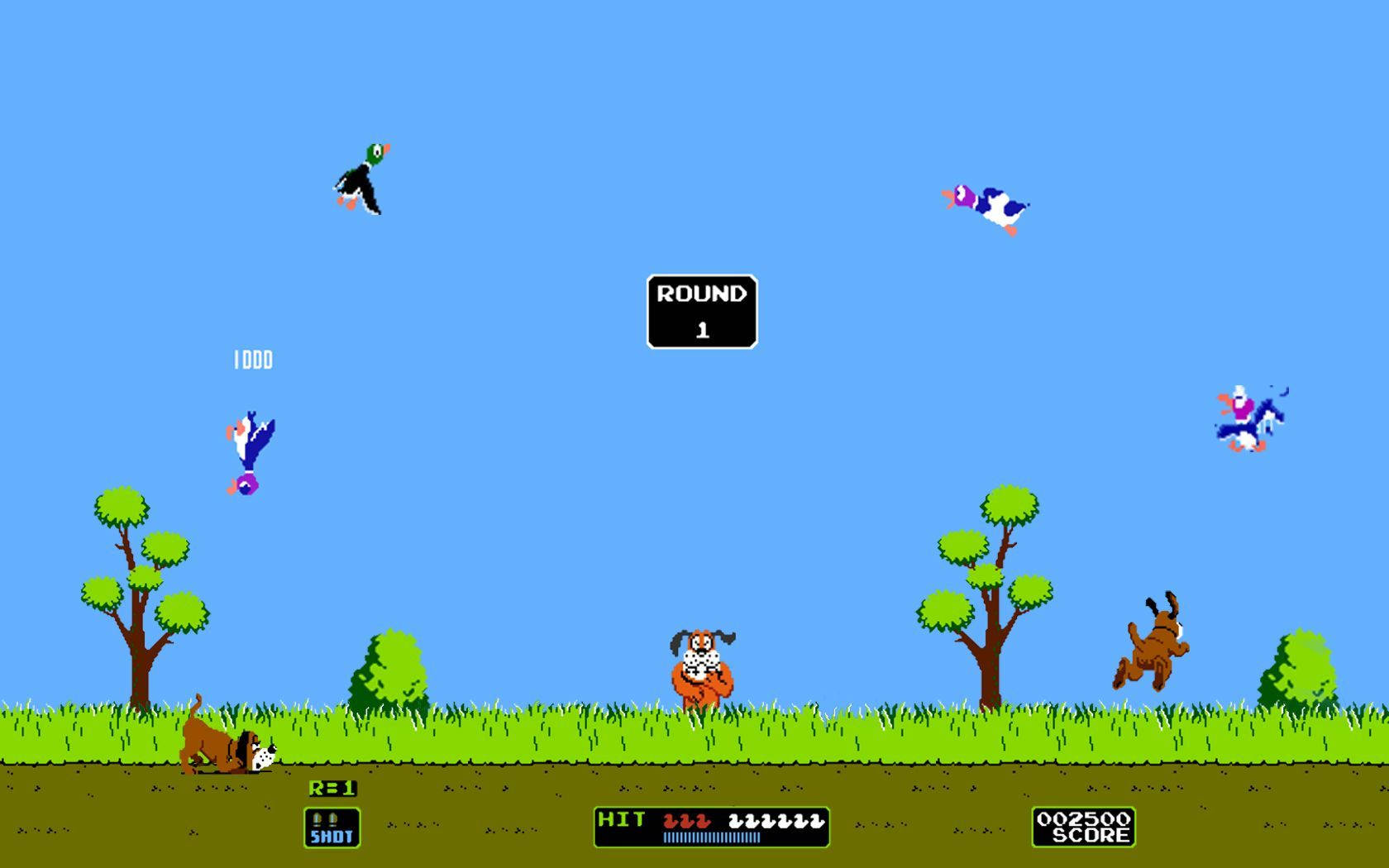 Duck Hunt Round 1 Background