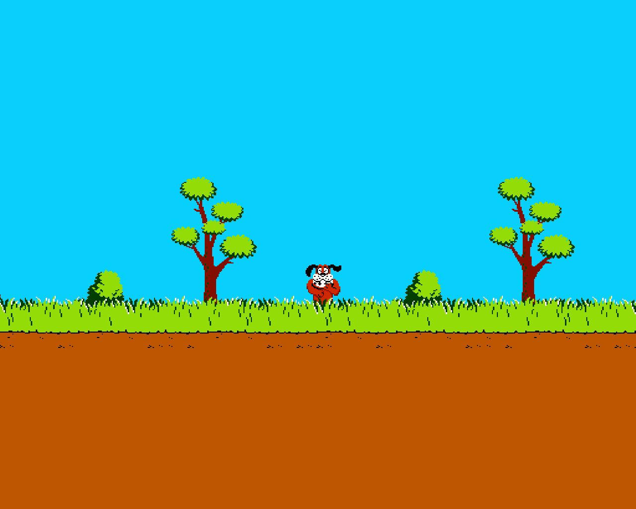 Duck Hunt Target View Background