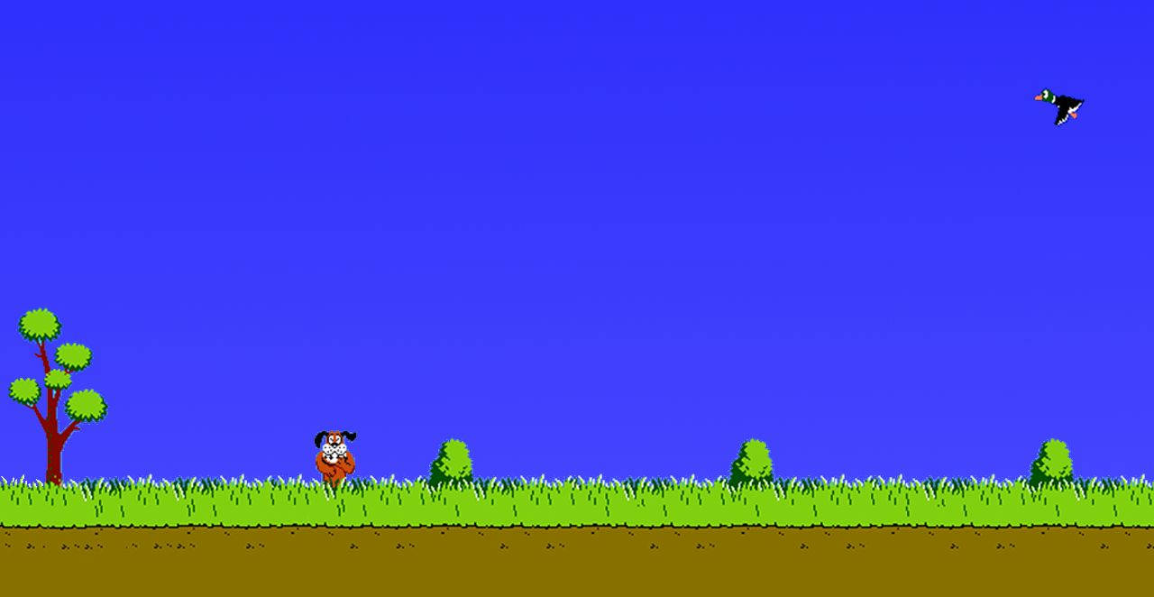 Duck Hunt Video Game Far Shot