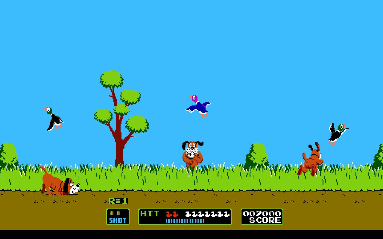 Duck Hunt Wide Shot Gameplay Background