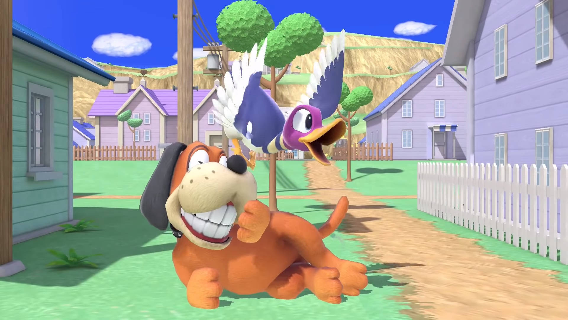 Duck Hunt Yard Background