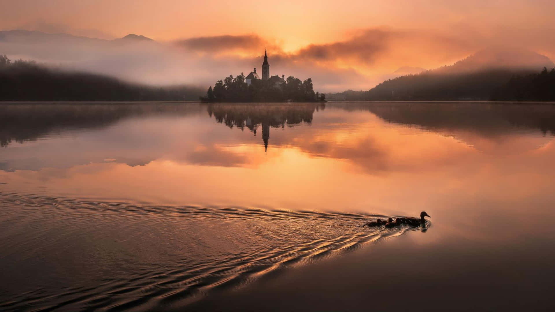 Duck Swimming At Lake Bled During Sunset Background
