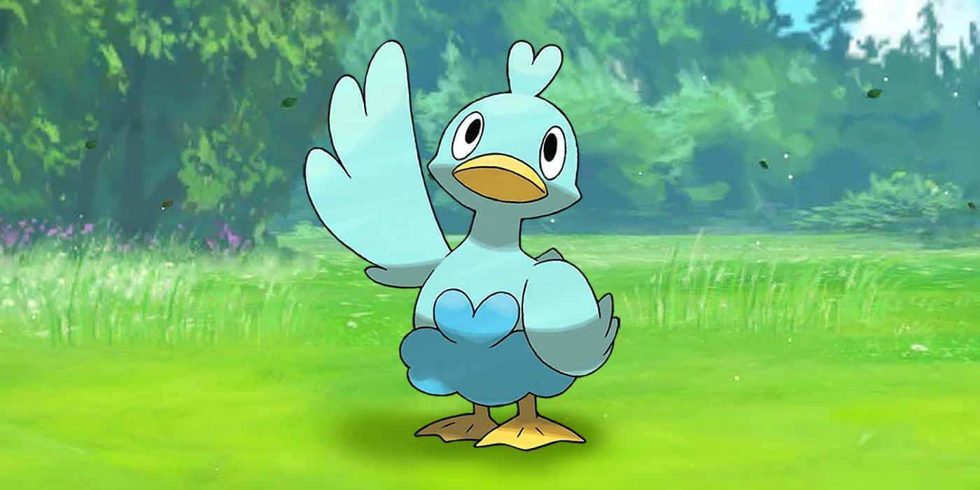 Ducklett On Grassy Plain Background
