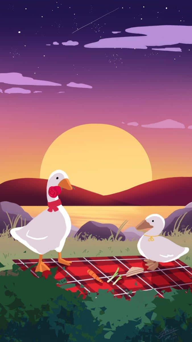 Ducks Picnic Sunset Background