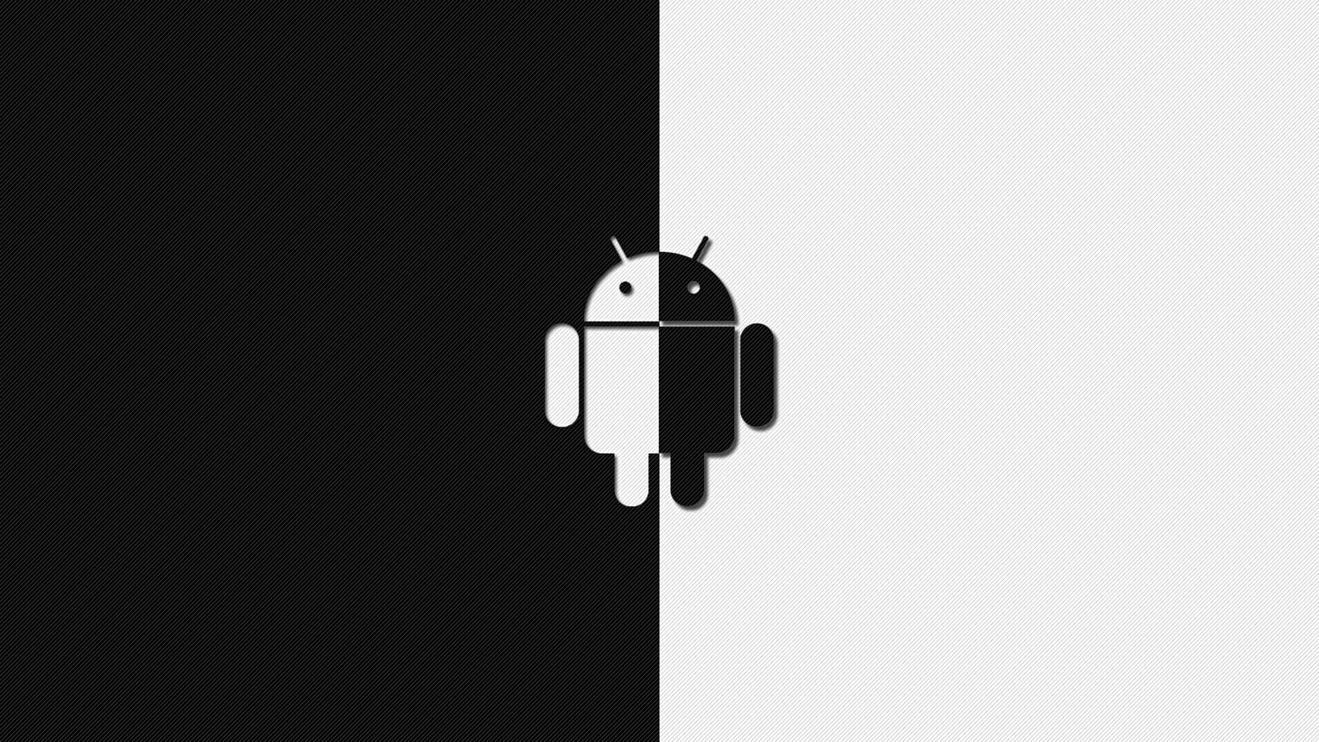 Dueling Shades - Half Black And Half White Background