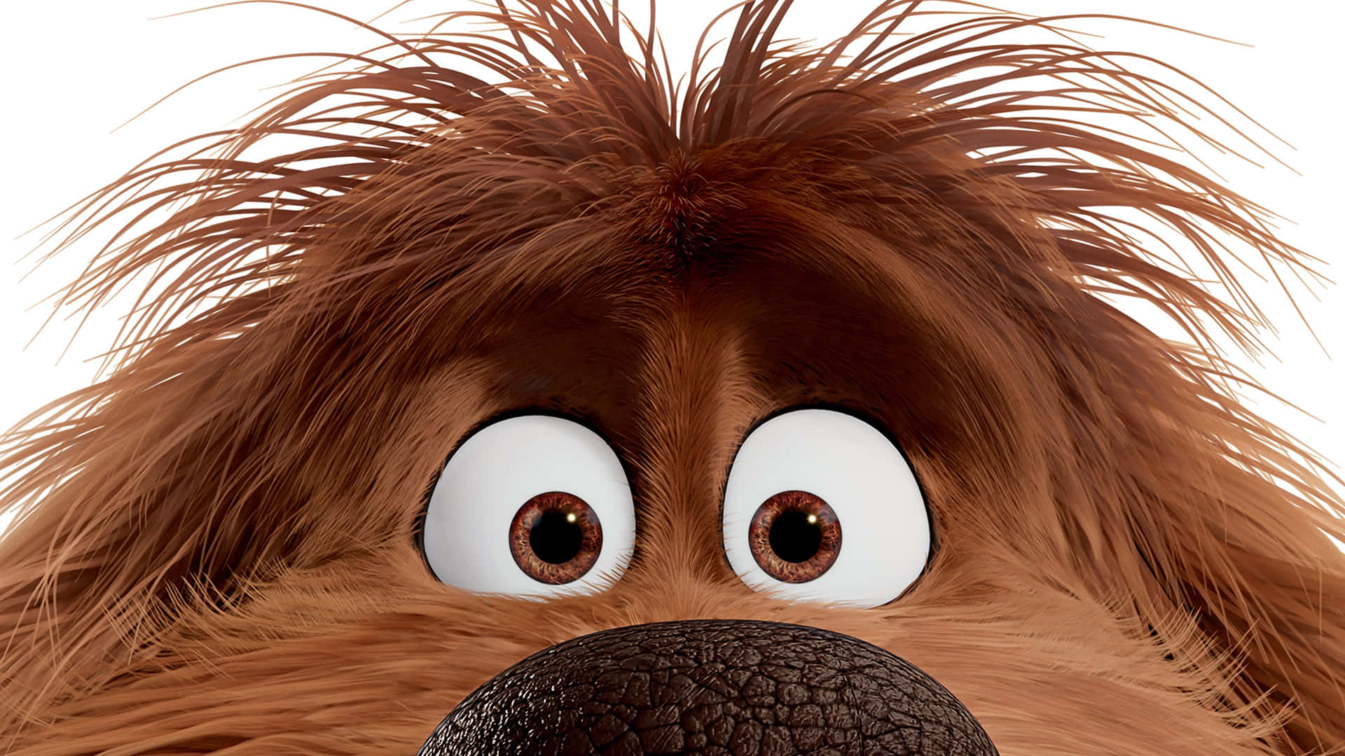 Duke, The Lovable Dog From The Secret Life Of Pets 2 Background