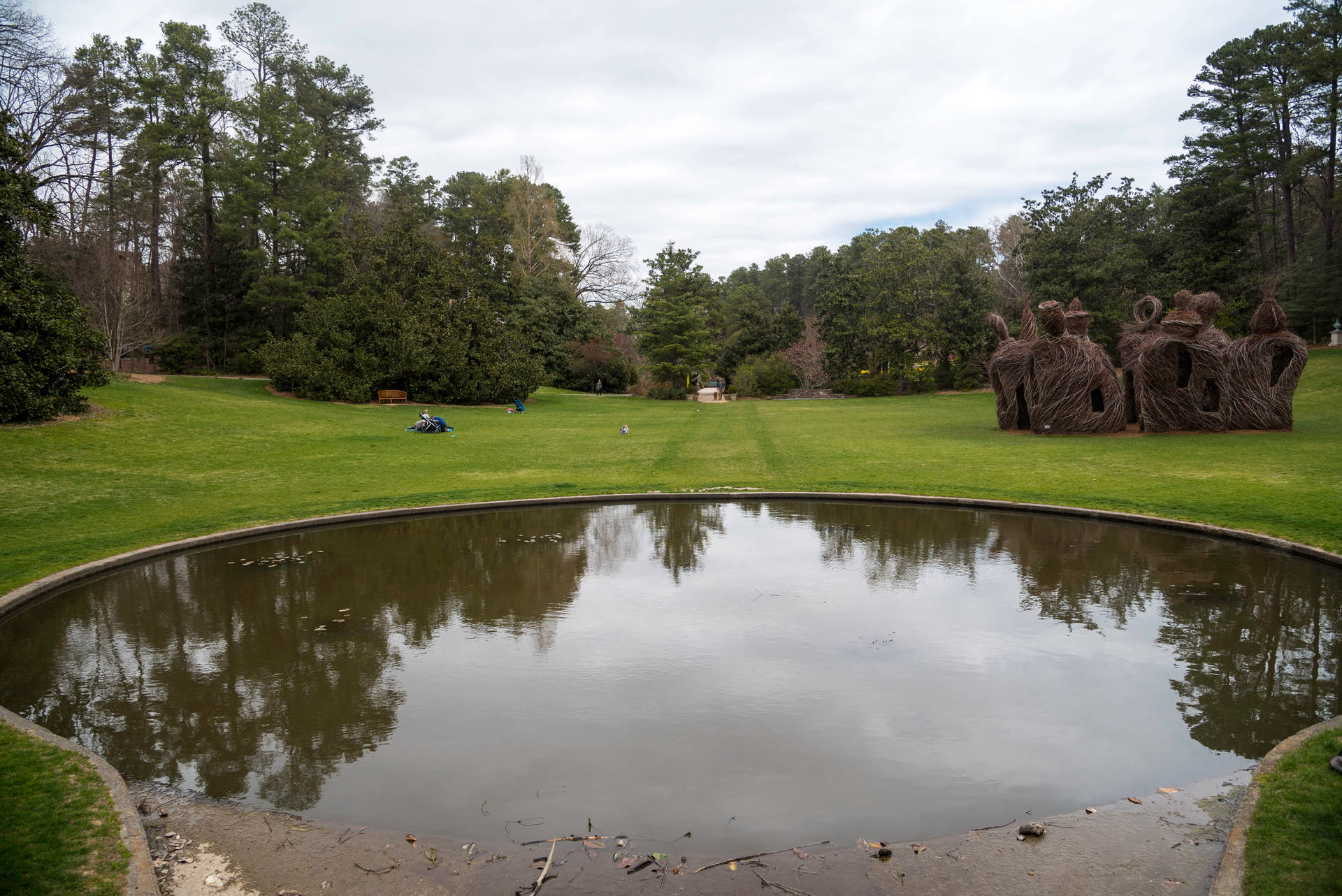 Duke University Gardens Pond