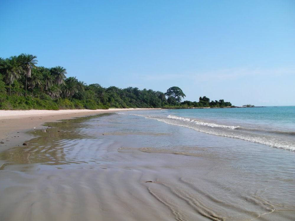 Dulombi Boe National Park Guinea Bissau Background