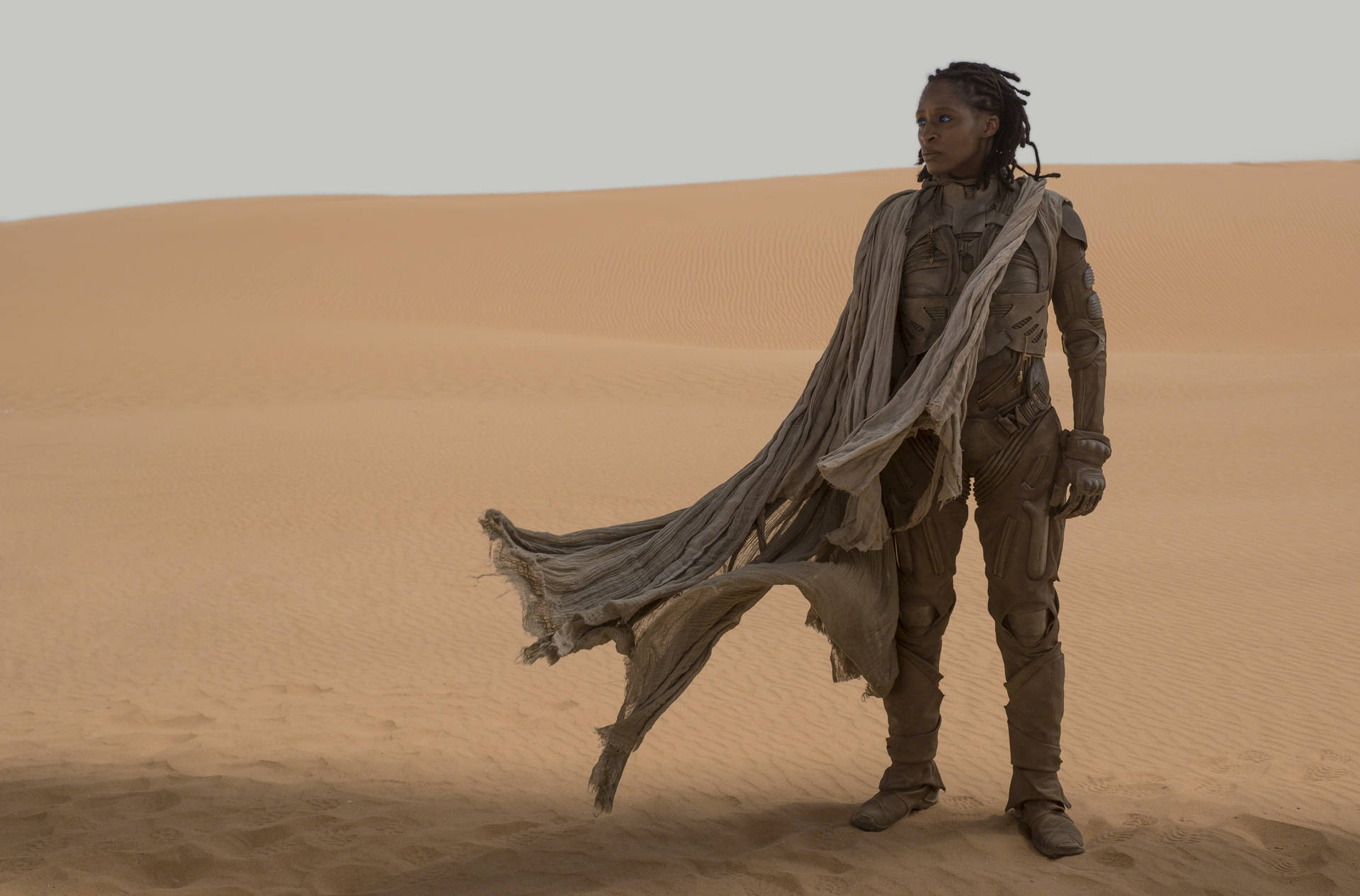 Dune Movie Liet-kynes In Desert Background