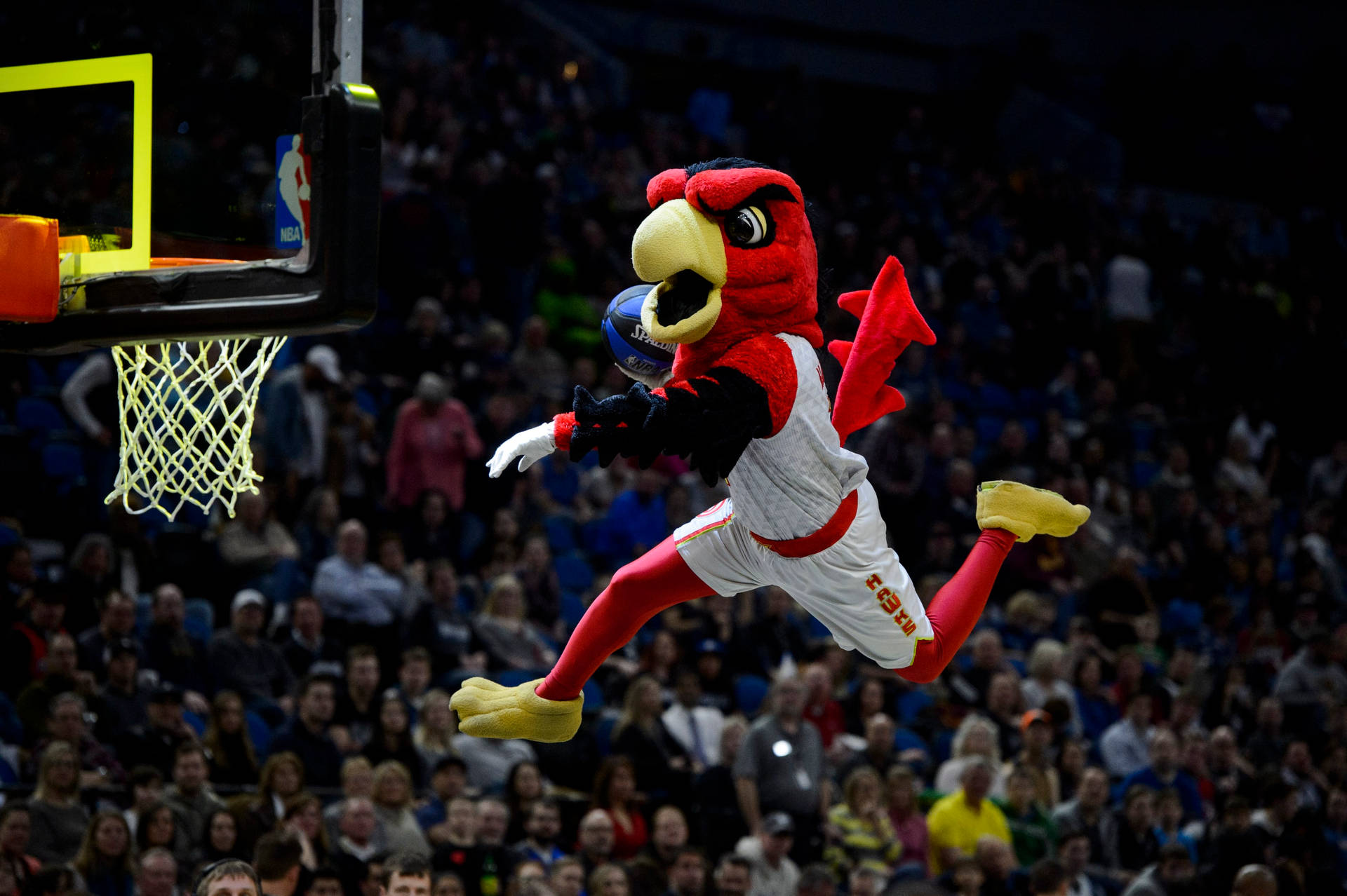 Dunking Atlanta Hawks Mascot Background