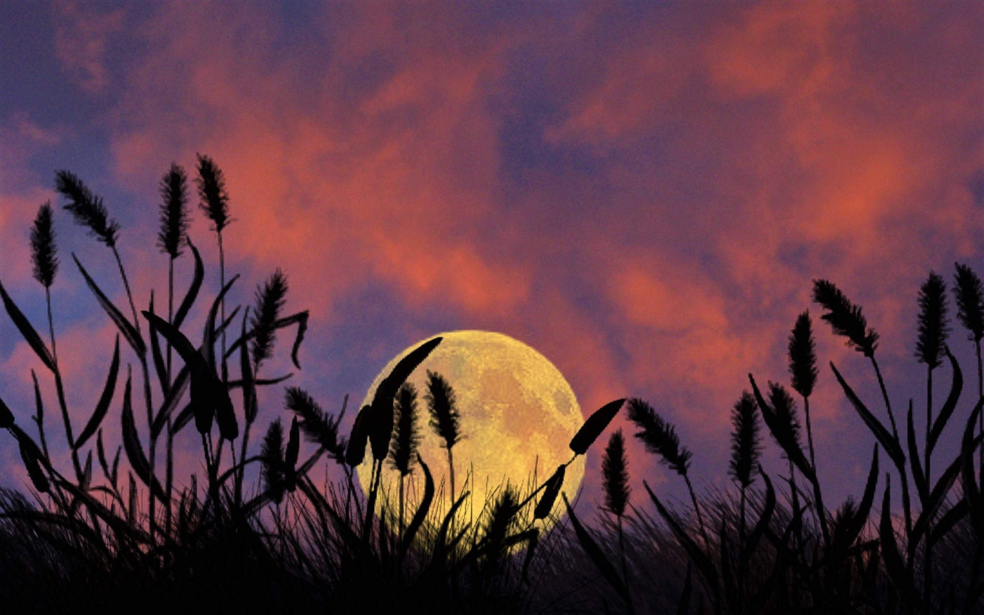 Dusk Moon Night Sky Background