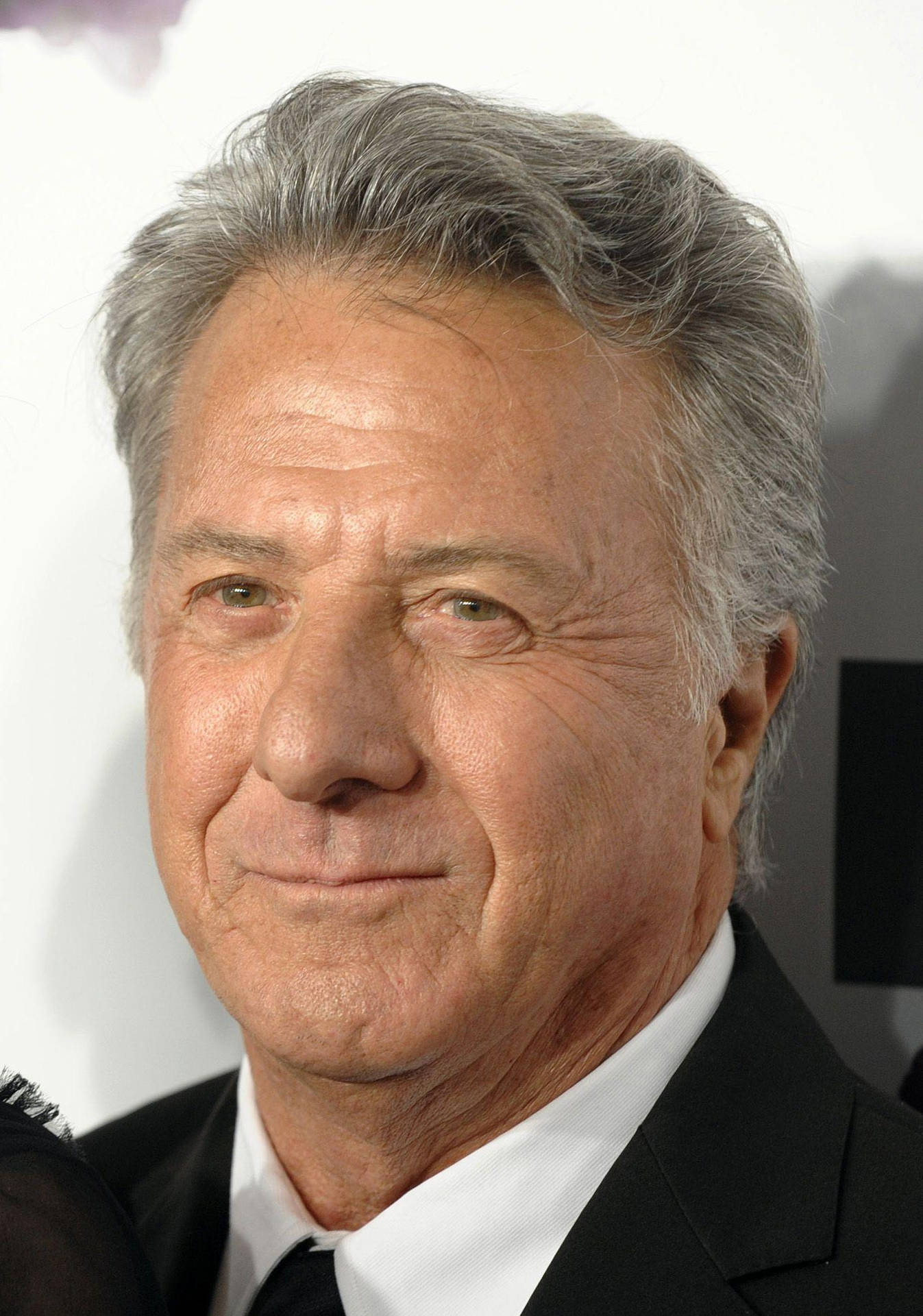 Dustin Hoffman Kung Fu Panda Premiere