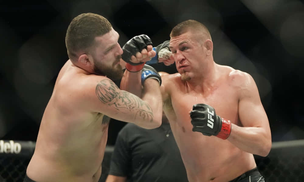 Dustin Jacoby Getting Punched By Michal Oleksiejczuk Background