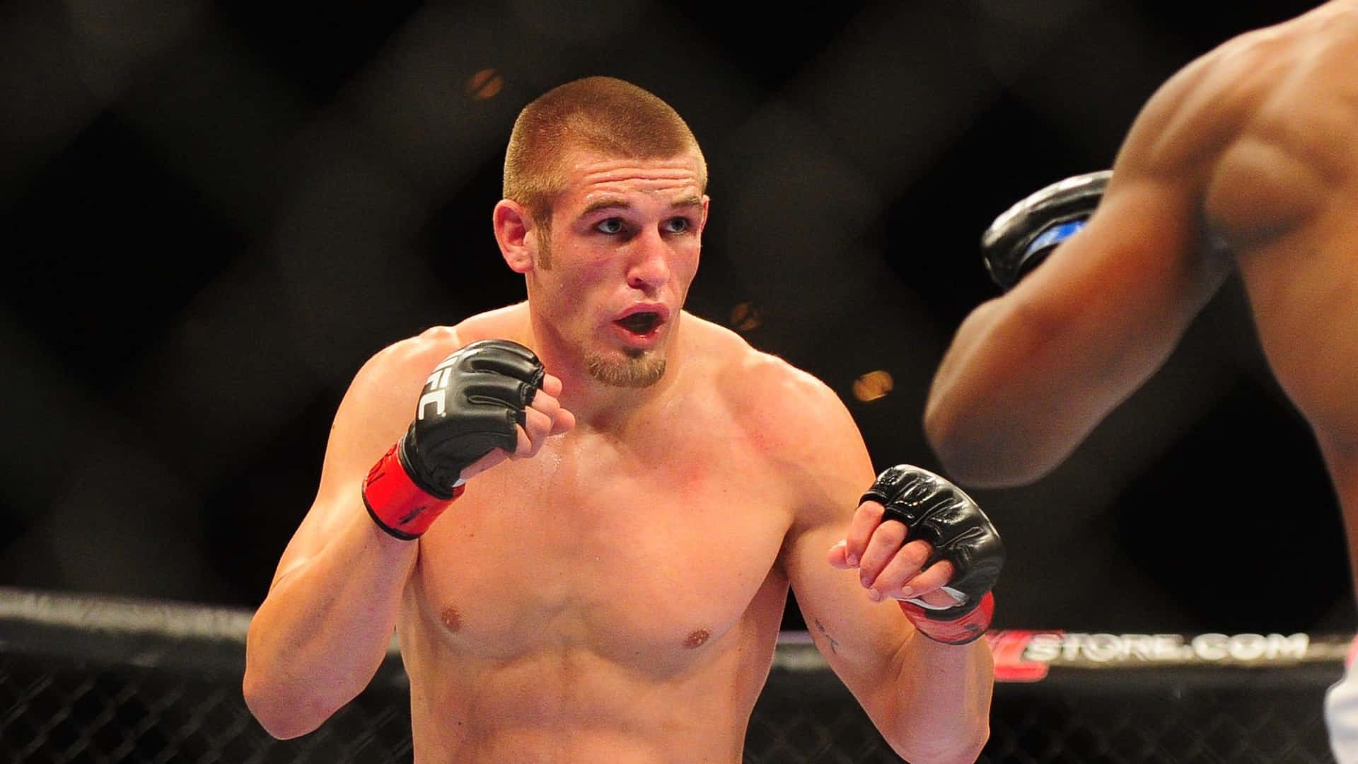 Dustin Jacoby Ready To Punch Background