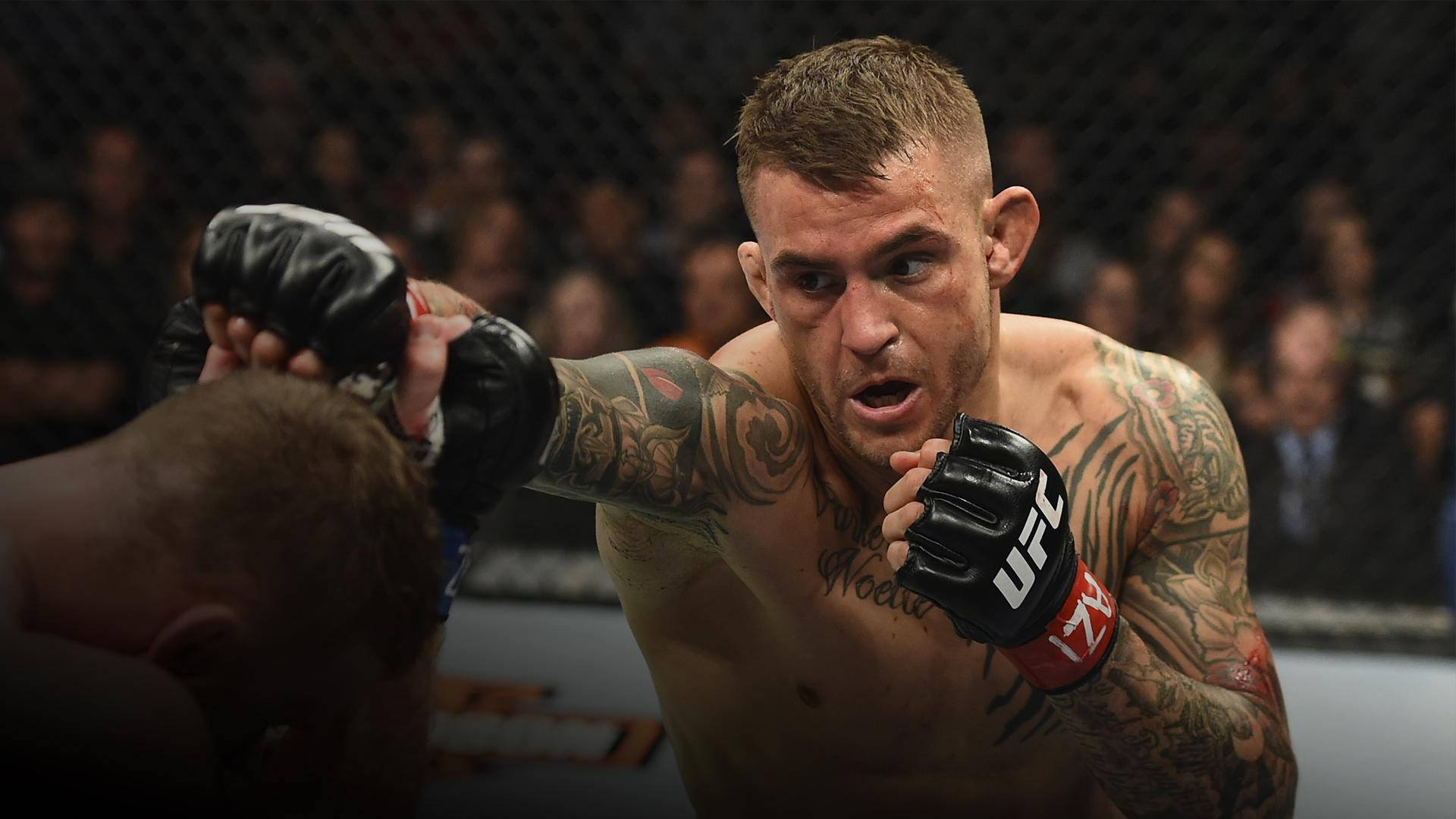 Dustin Poirier Punch Dodged Background