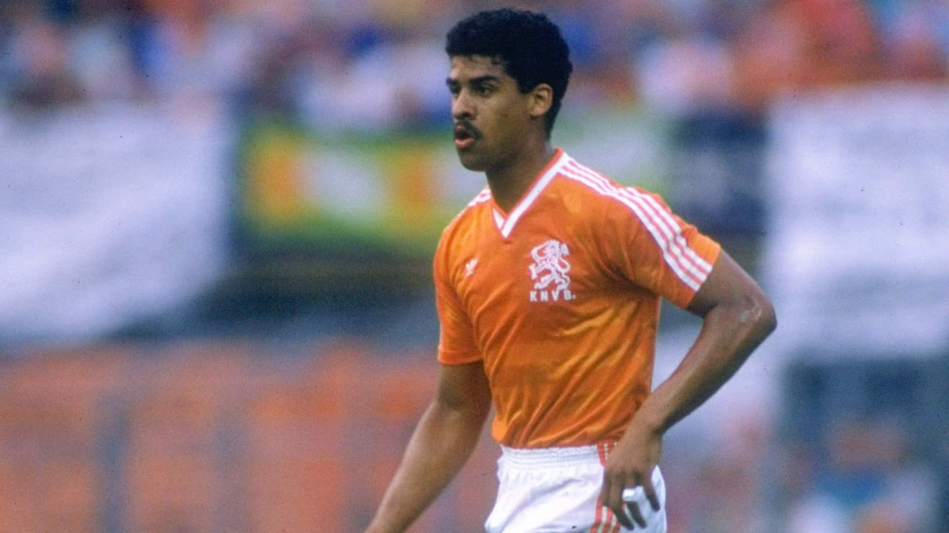 Dutch Footballer Frank Rijkaard Background