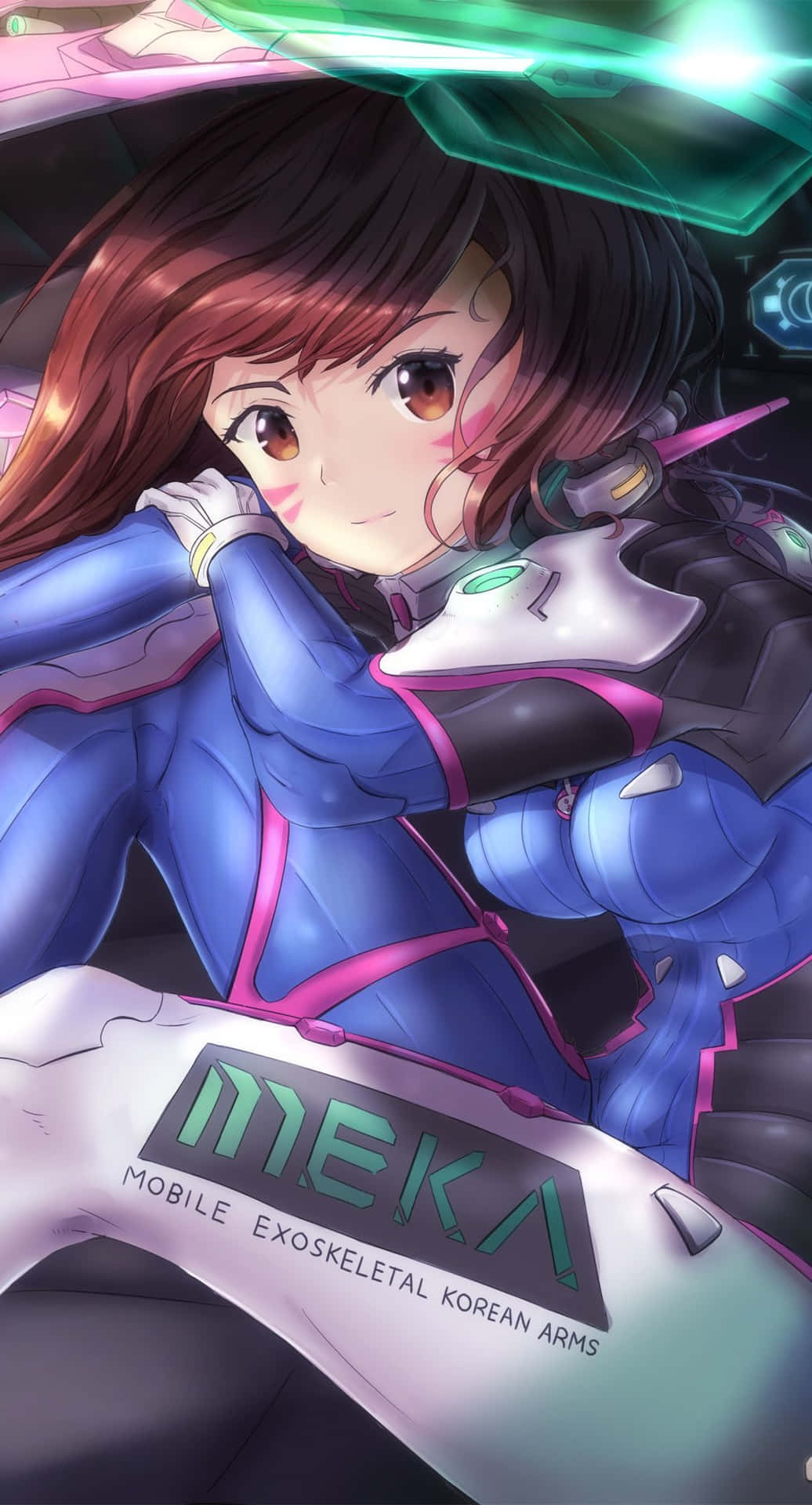 Dva Exoskeletal Arms Overwatch