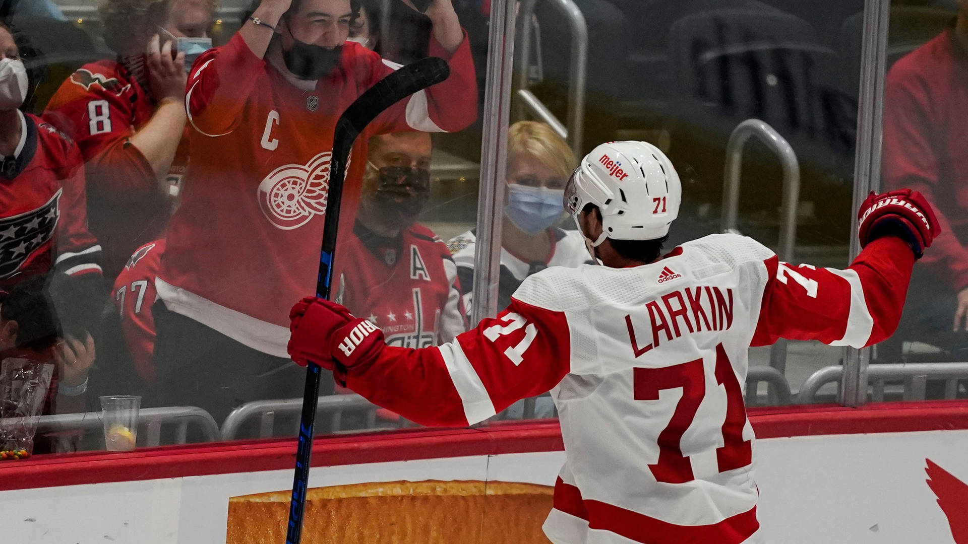 Dylan Larkin 2021 National Hockey League Background