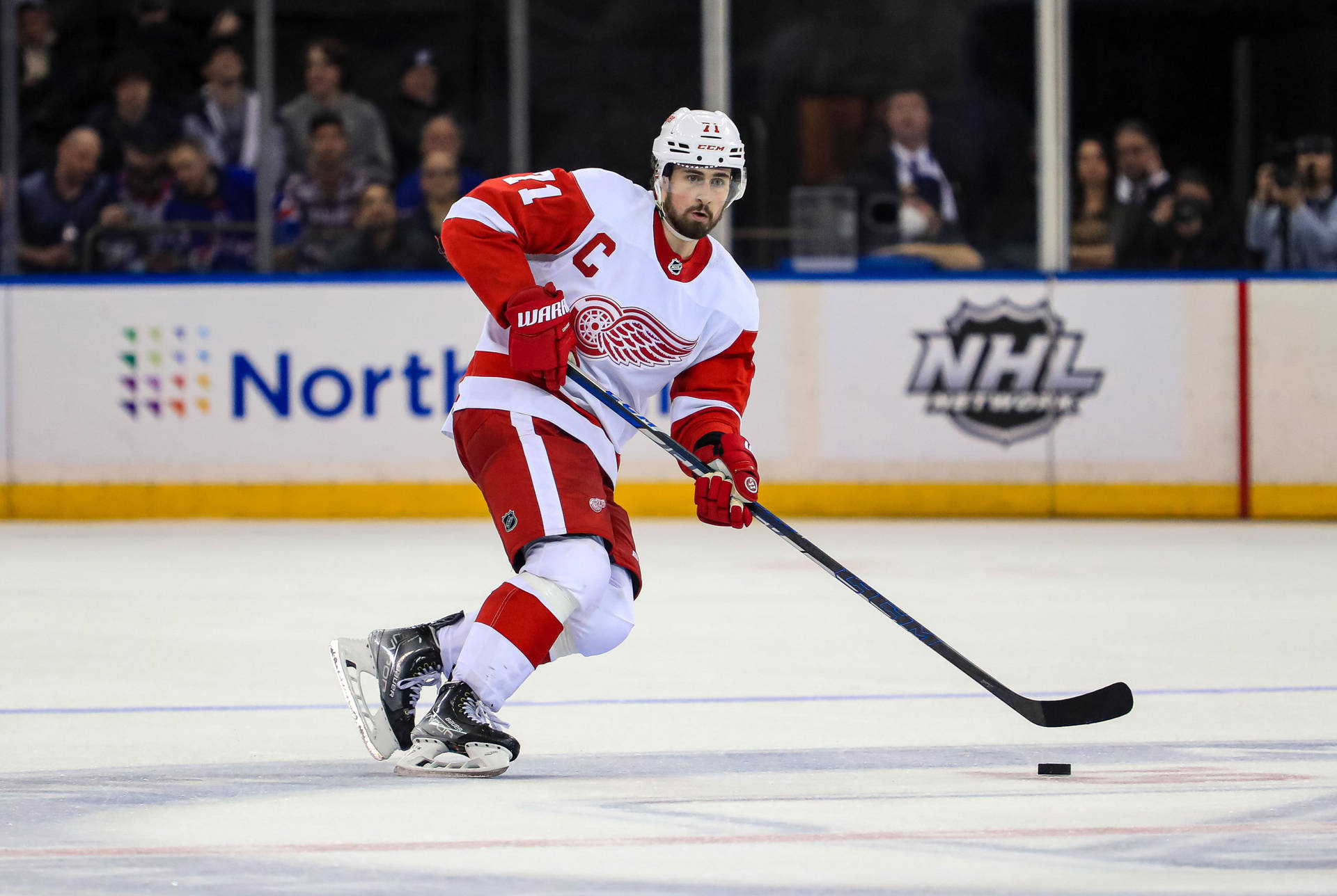 Dylan Larkin American Ice Hockey Player