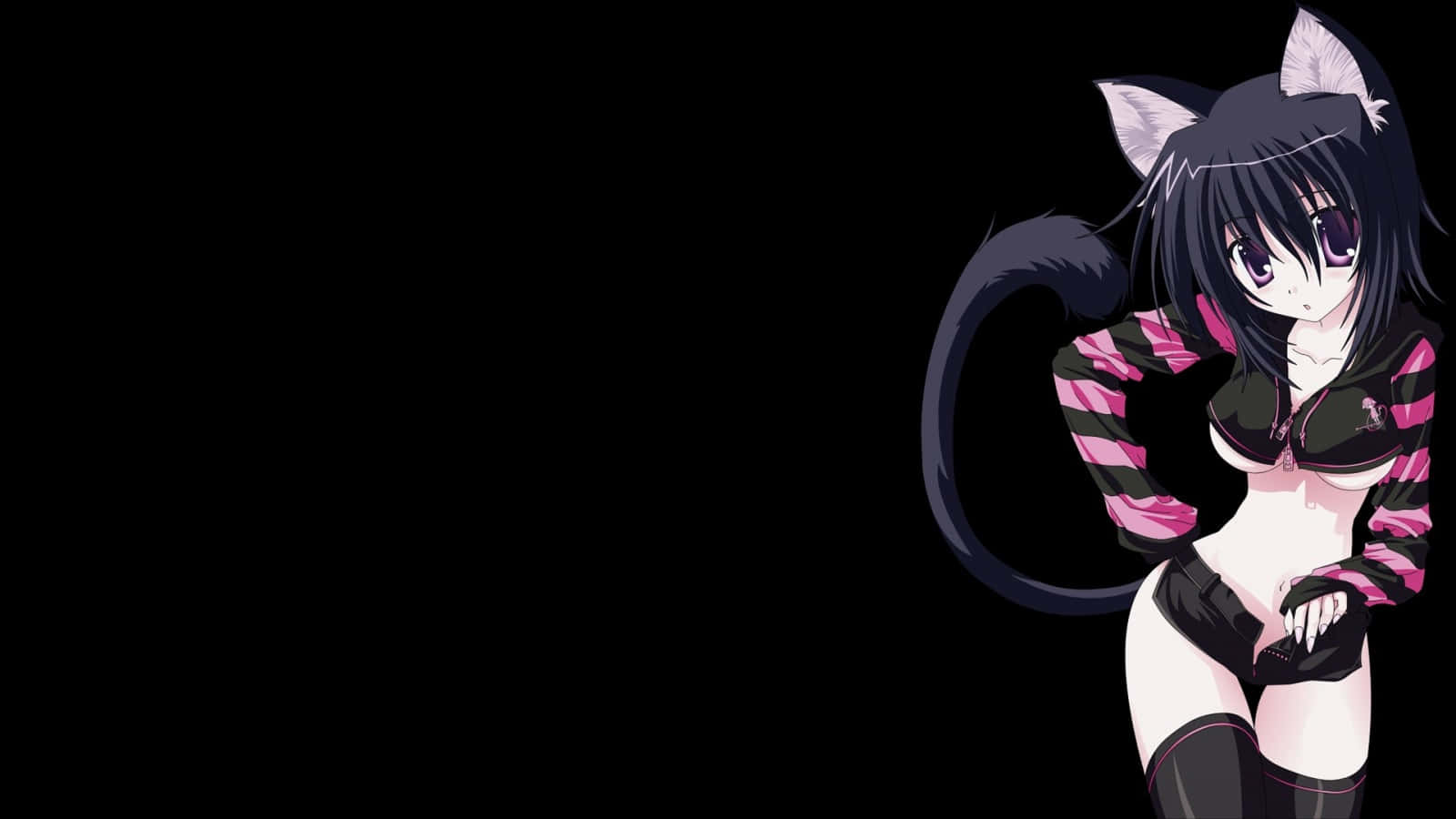 Dynamic Anime Sexy Neko Girl Background